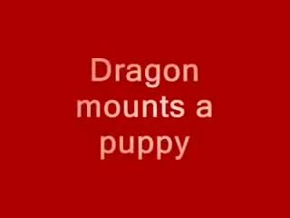 Hot Naked Women Dragon Mounts A Puppy Real Amateur Porn