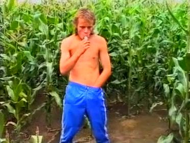 Gay Bang In Corn Field Music - 1