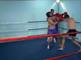 Ass Licking Boxers Fucking On The Ring Fling
