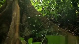 Small Tarzan Swing