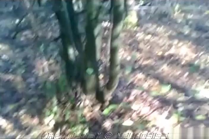Ero-Video From Neurossis: Daddies Playing in the Woods Ameteur Porn - 1