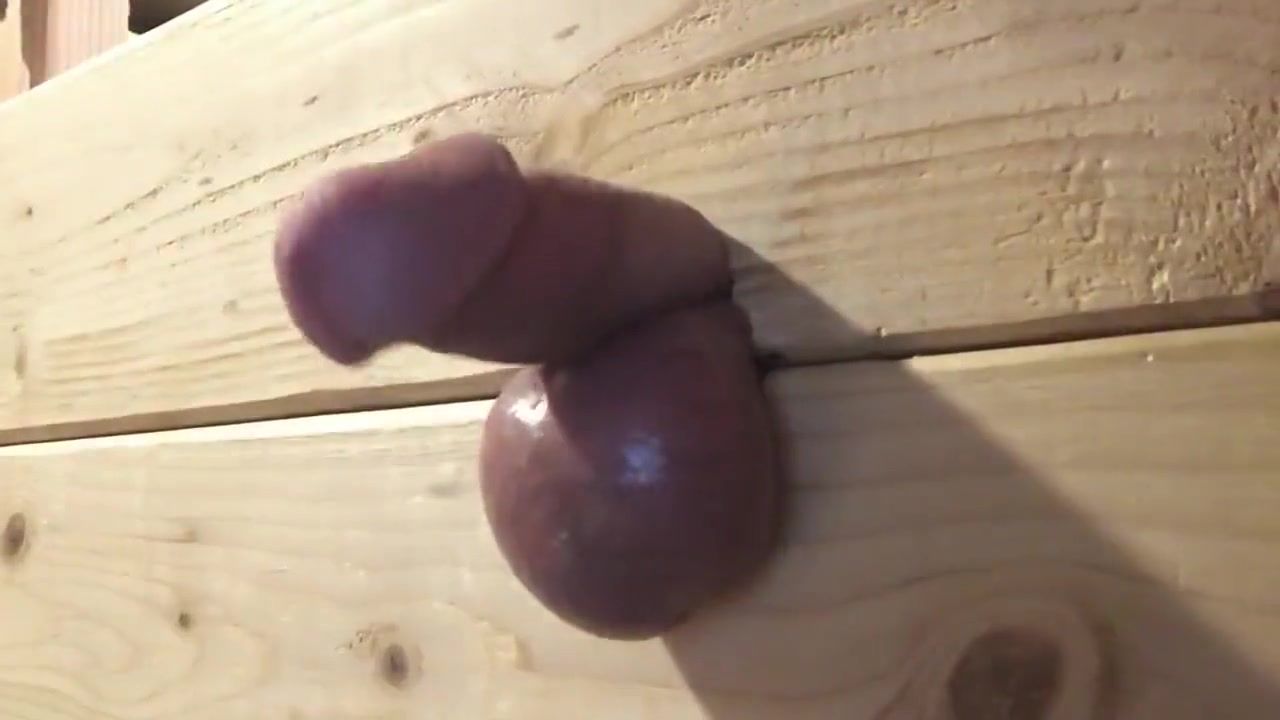 4some Flagging My Cock and Balls See-Tube