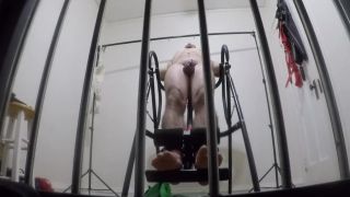 Pussy beating of a puppy Face Fucking