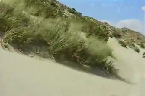Alexis Texas Racing on the sand & sucking Private