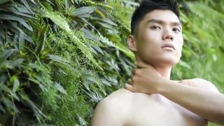 VRTube Naked Asian guys Trimmed