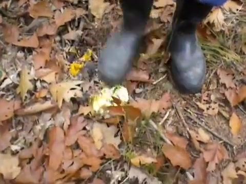 Interracial Porn nlboots - searching for toad stools in autumn Masturbandose