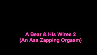 Blowjob A Bear & His Wires two Porness
