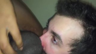 Closeup Filthy Pig Brenden Morelock Eats Cake Like They Were Groceries Sloppy Blow Job