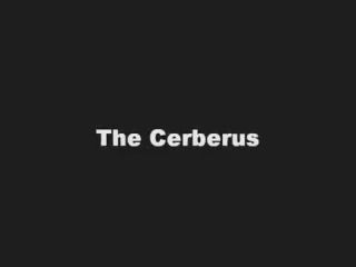 Free Amateur Porn The Cerberus - Canine Cocksleeve Jerk-off Clip Tetas