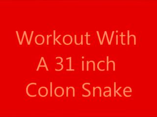 2afg 31 Colon Snake Gay Big Cock
