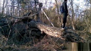 Ero-Video Forest Jerking Zorra