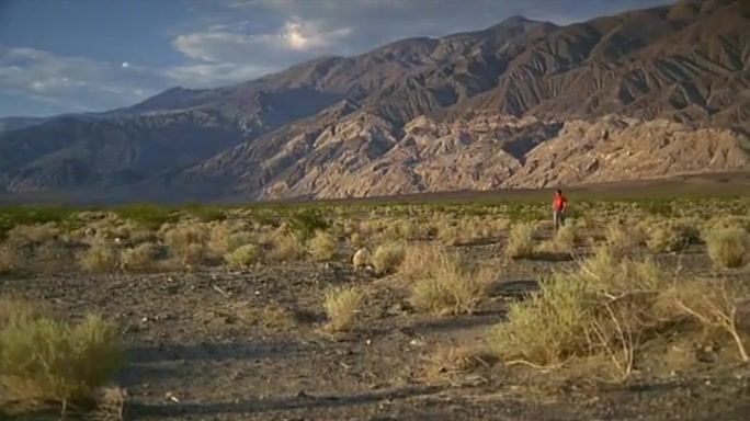 Peruana Death Valley (Sam Taylor-Wood, 2006) Outside