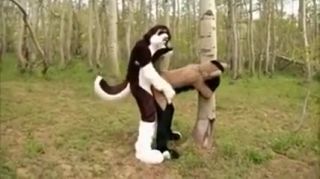 Concha Nasty huskies fucking in woods Gay Pov
