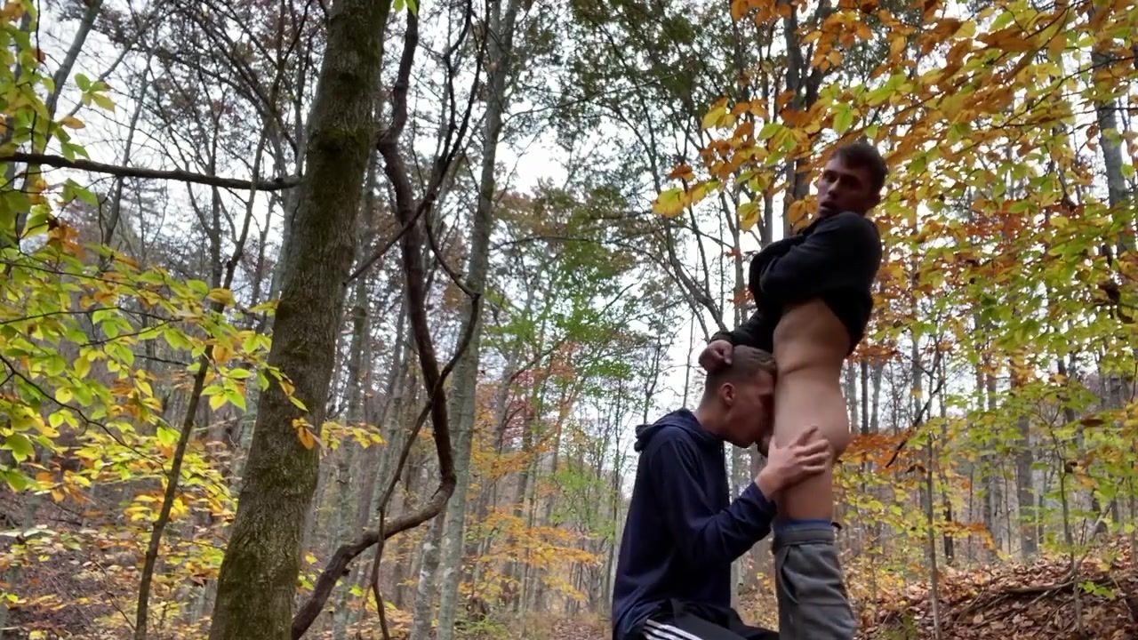 Cum On Pussy Bareback Fucking Twink Porn In The Woods Teenxxx