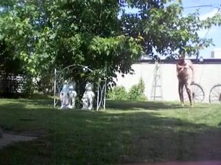 Gay Hunks nude for the neighbors Nurugel